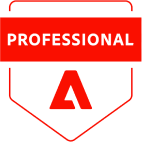 Magento Certified Developer