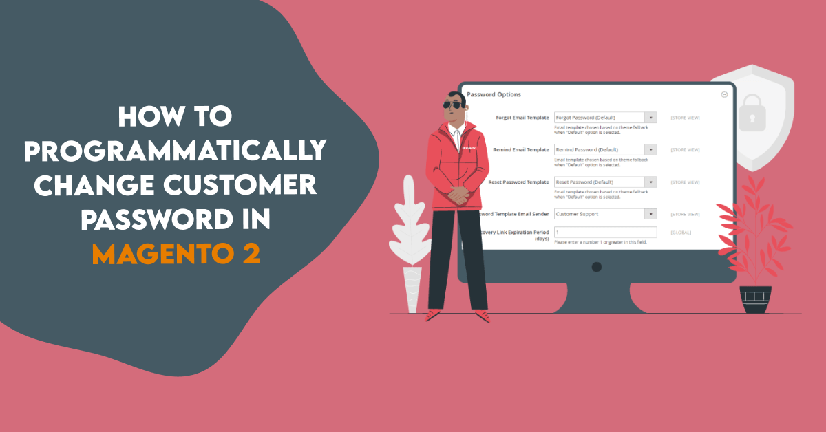 How To Programmatically Change Customer Password  In Magento 2