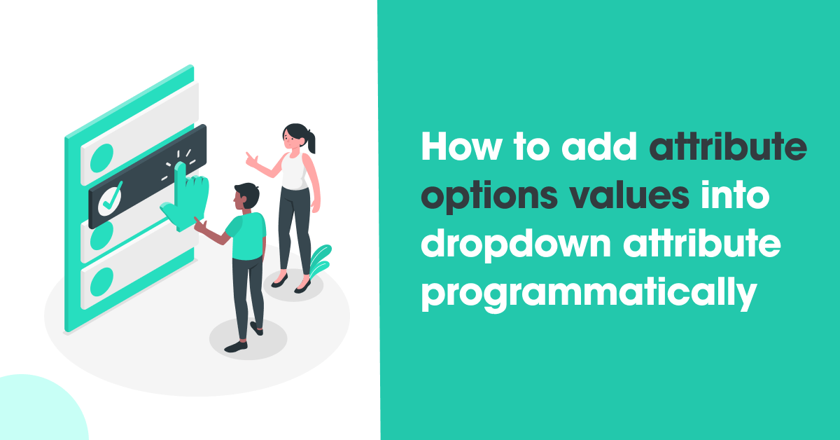 How to add attribute options values into dropdown attribute programmatically